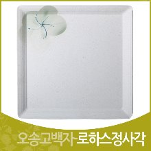 오송고백자-로하스정사각(260)